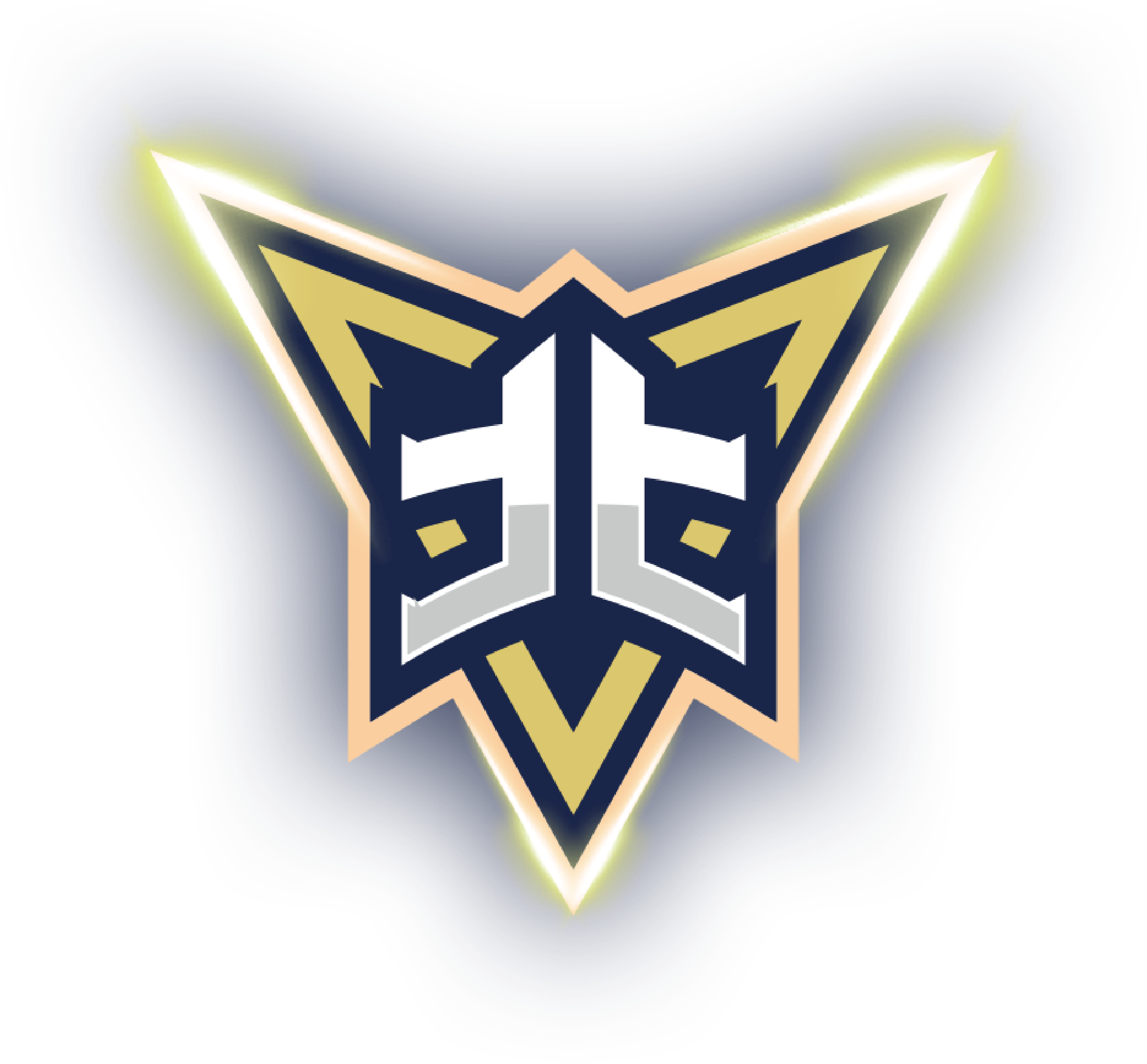未来FC